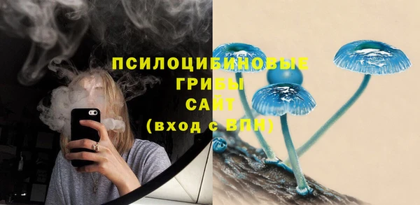 хмурый Мегион