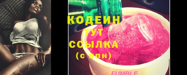 хмурый Мегион