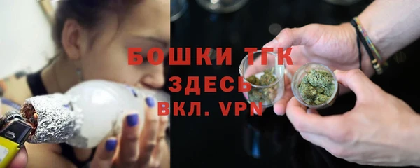 стаф Апатиты