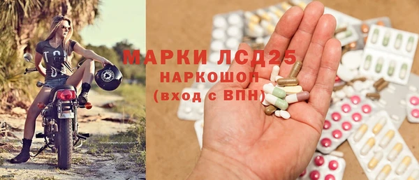 гидра Анжеро-Судженск