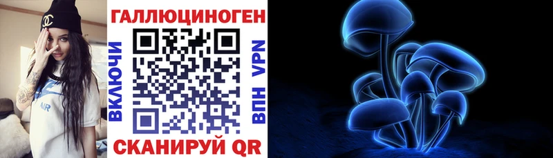 Псилоцибиновые грибы Magic Shrooms  купить наркоту  Каргат 
